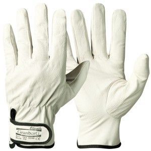 Glove assembly nappa leather
